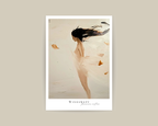 Windswept poster