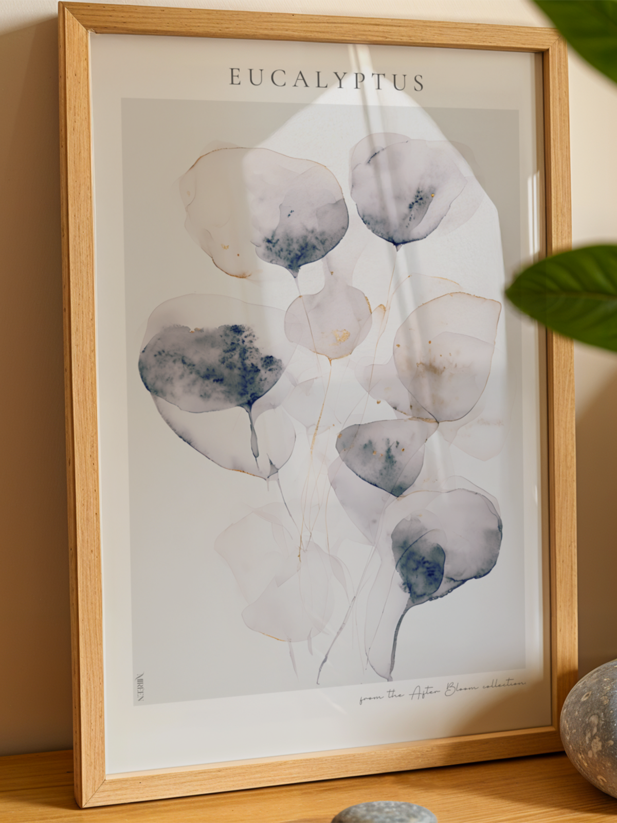 Eucalyptus poster